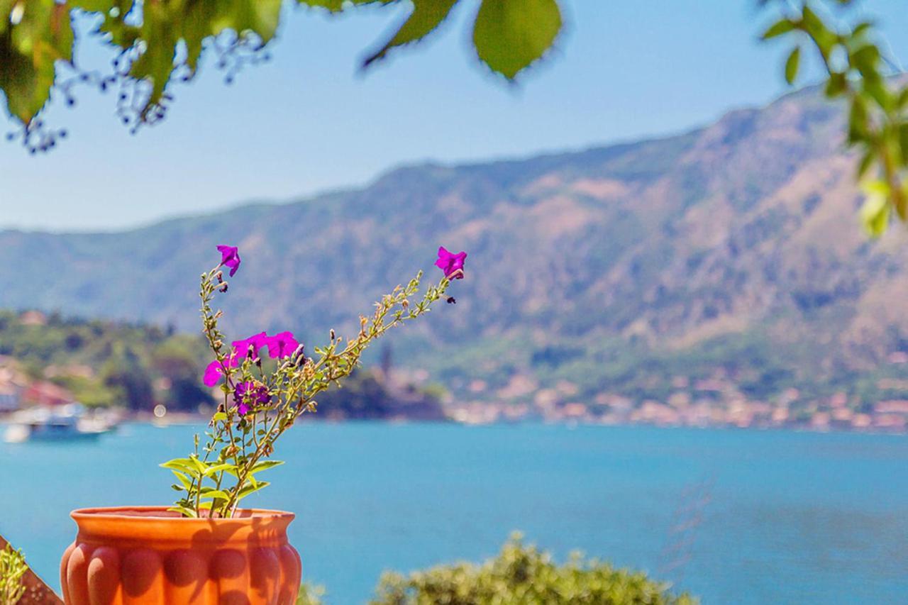Villa Donkovic Kotor Buitenkant foto
