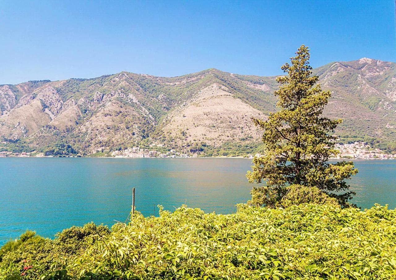 Villa Donkovic Kotor Buitenkant foto