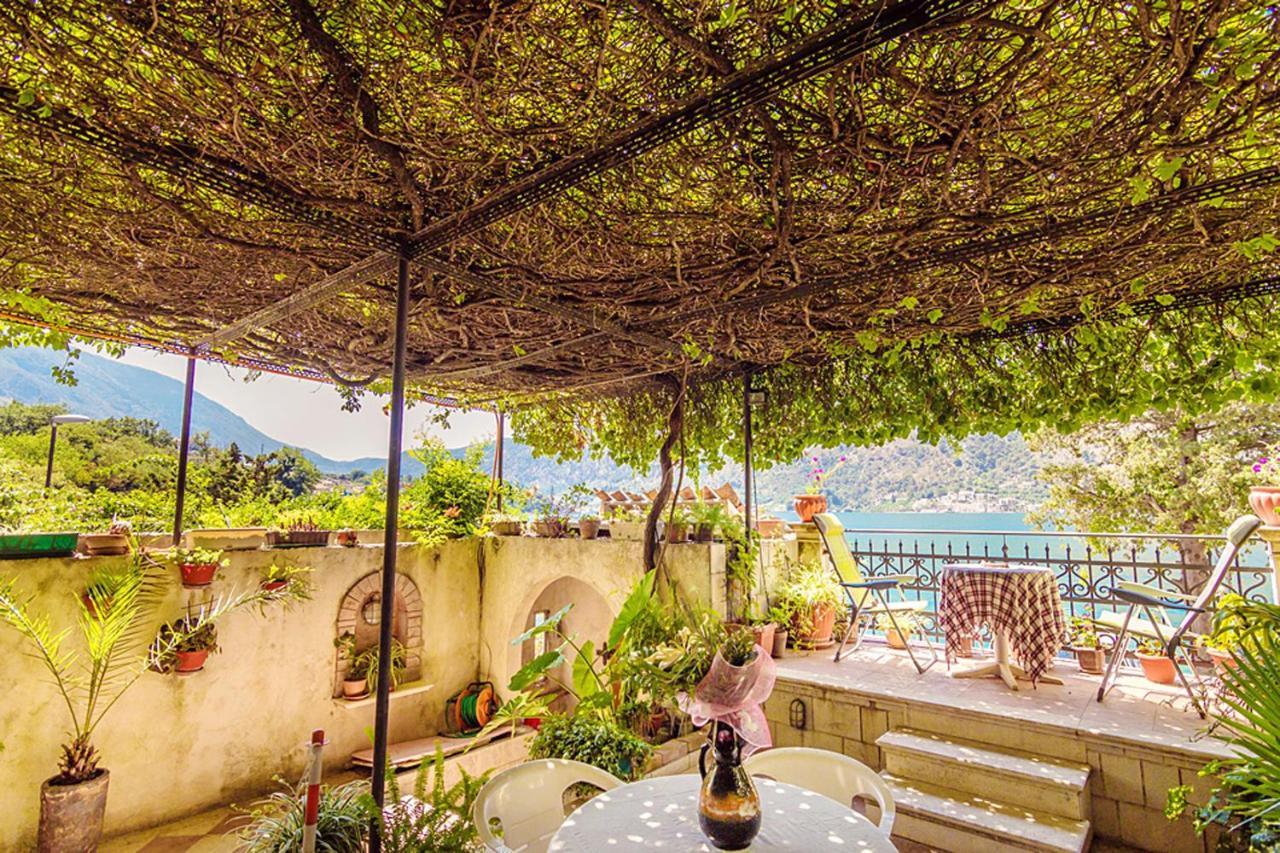 Villa Donkovic Kotor Buitenkant foto